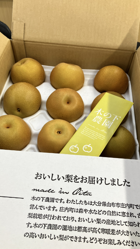 ９月もやります☆彡１日車検で庄内なしが当たるキャンペーン☆彡